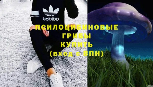 спиды Алексин