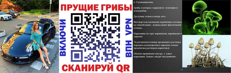 Псилоцибиновые грибы Psilocybe  наркошоп  Тайшет 