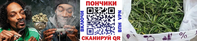 где можно купить наркотик  Тайшет  Марихуана сатива 